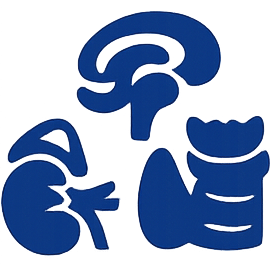 iconendocrino